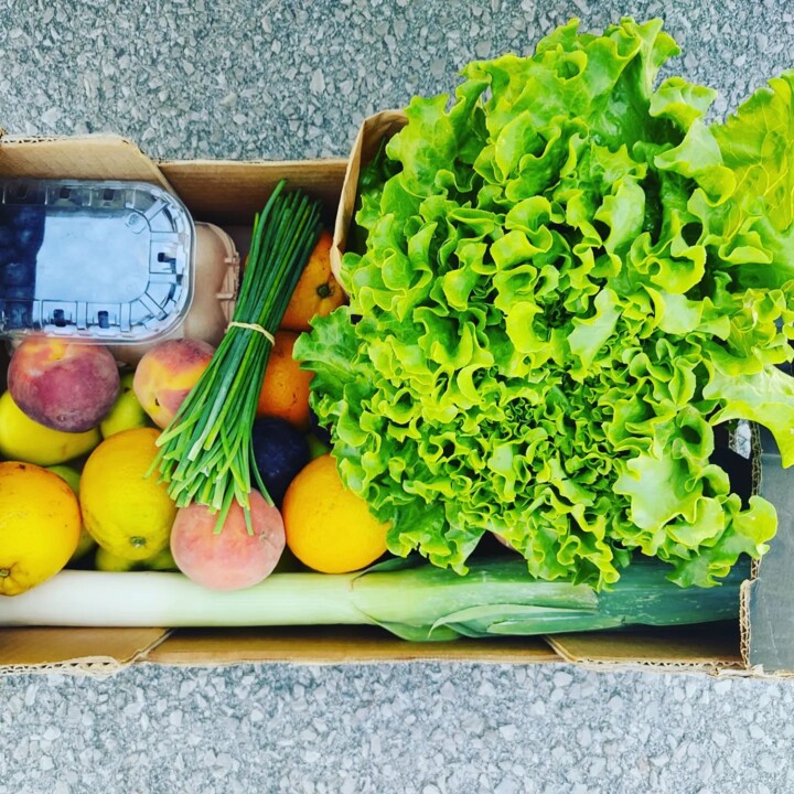 356634277_649454877211926_7364893518821261363_n.jp