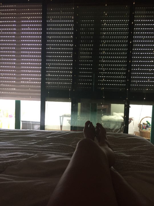 IMG-6931.JPG IMG-6931.JPG