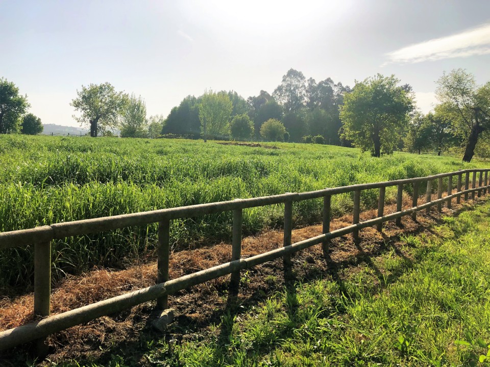 Um caminho.jpg Um caminho.jpg