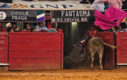 Toiro Fantasma-Indultado por Diego Ventura-México