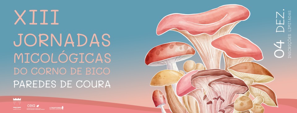 258776161_5021588181226052_2286773068748448193_n.j