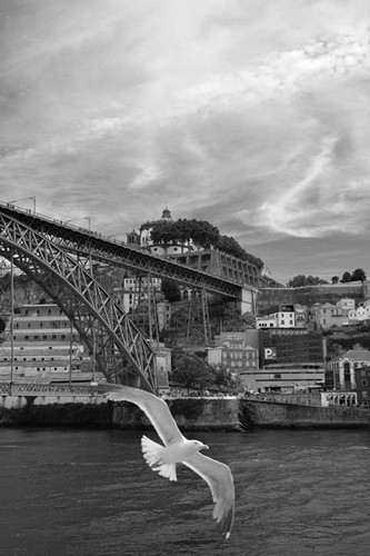 Porto2018_11_500.jpg