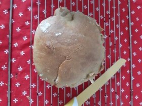 91970614_282139886281865_7769806768602873856_n.jpg 91970614_282139886281865_7769806768602873856_n.jpg