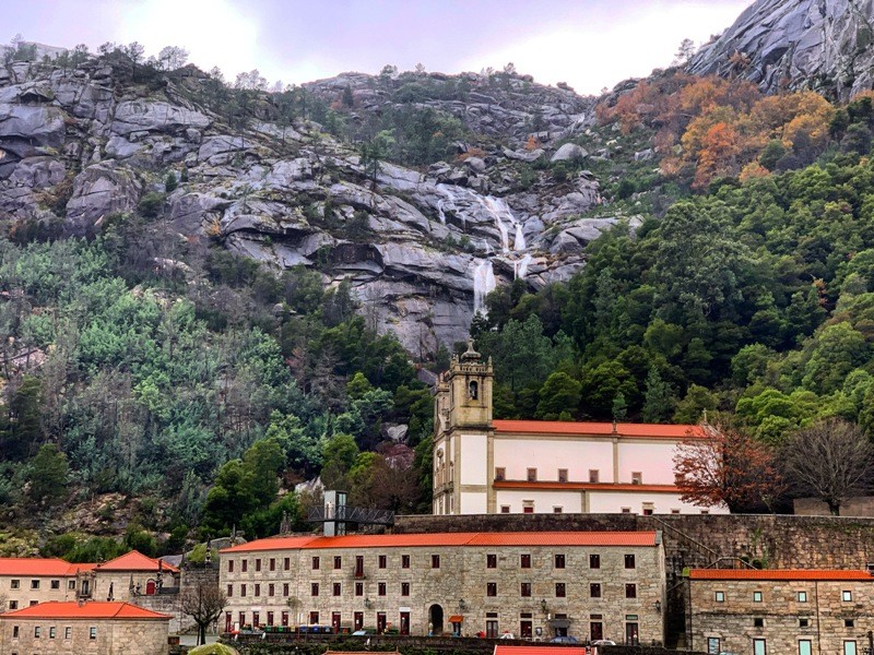 PNPGeresPyrrait (63).jpeg PNPGeresPyrrait (63).jpeg