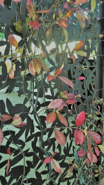 comporta.jpg comporta.jpg