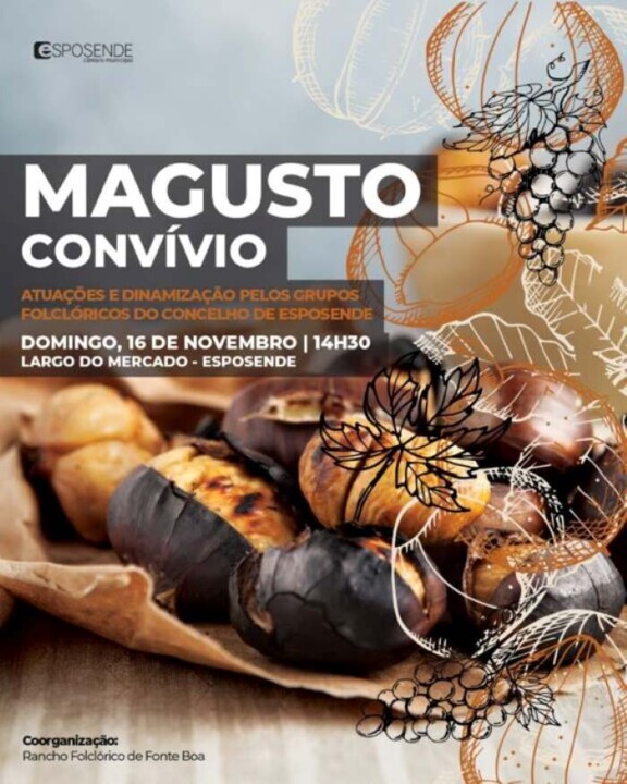 583743886_25146592495001558_4167970660396237559_n.