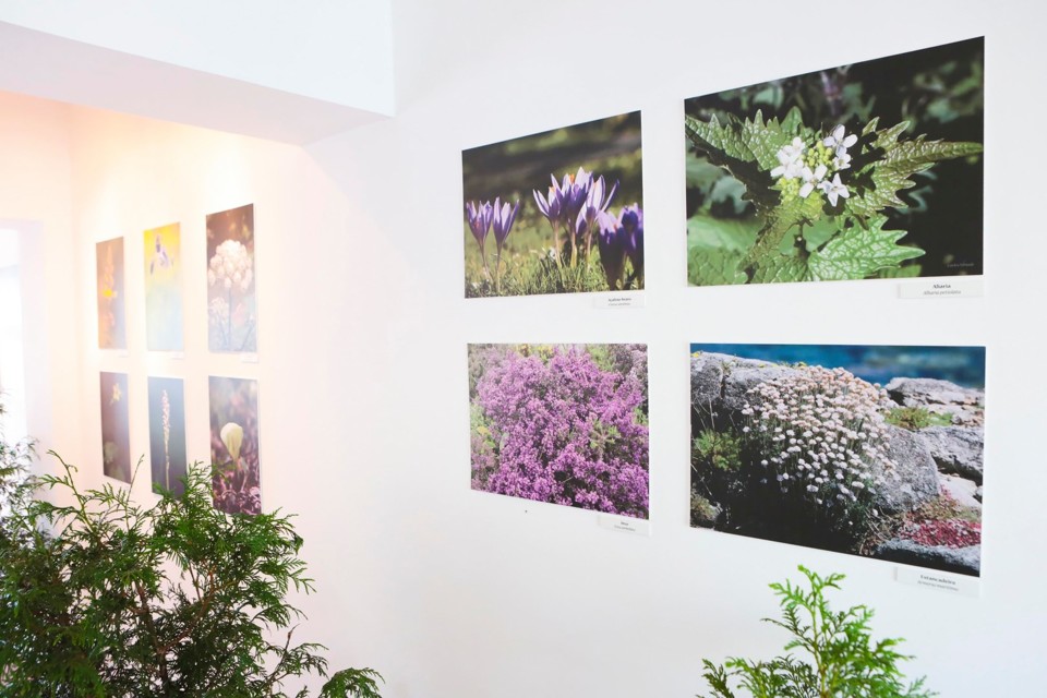 119096279_3229037790484061_9137787237369330681_o.j 119096279_3229037790484061_9137787237369330681_o.j