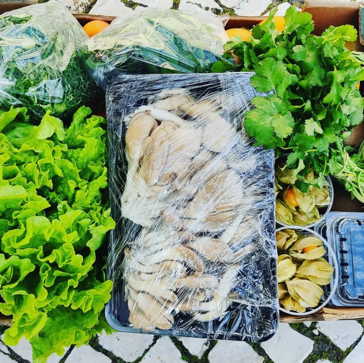 155563175_1961916800614738_5455134803287475627_o.j