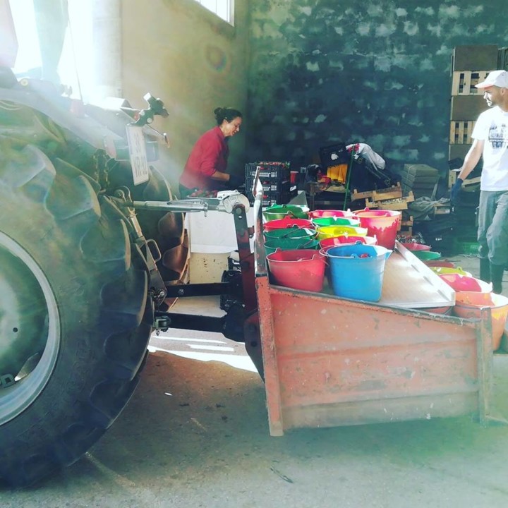 56325182_1339878689485222_6298476313023873024_n.jp