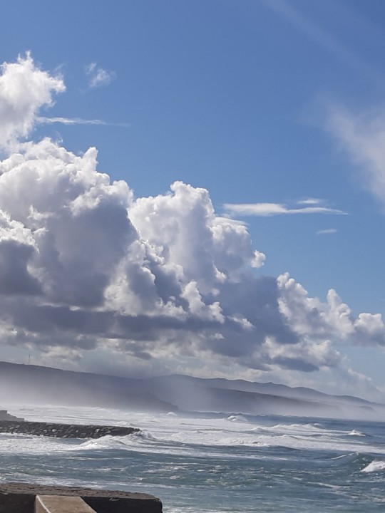 20201022_115725.jpg 20201022_115725.jpg