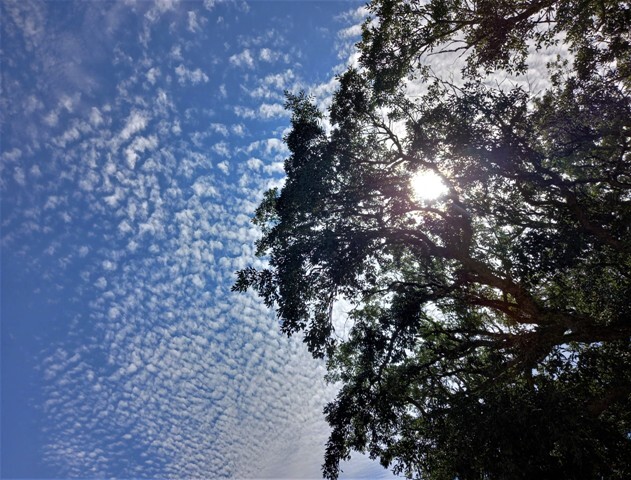 20230617_161157 - Cópia.jpg