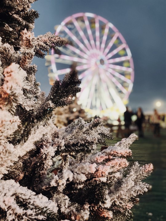 75AF68E9-6FAD-444B-A5E0-E29E48DF3652.jpeg 75AF68E9-6FAD-444B-A5E0-E29E48DF3652.jpeg