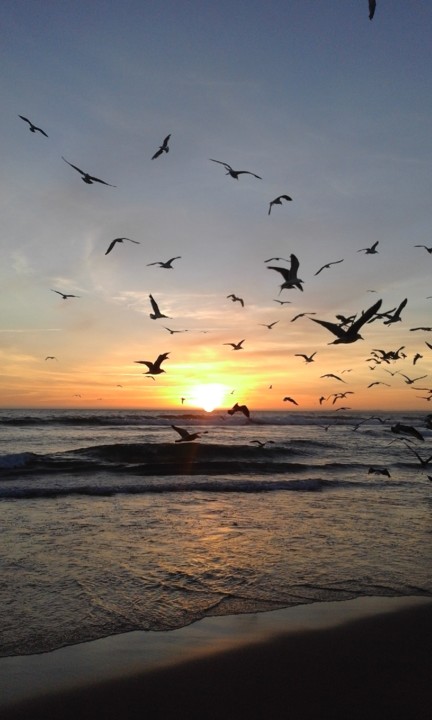 Costa Caparica. Foto Original. 2020.08.24.jpg