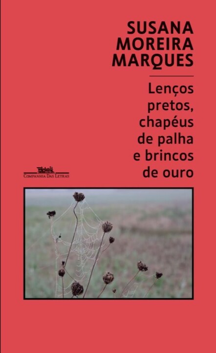 descarregar (13).jfif