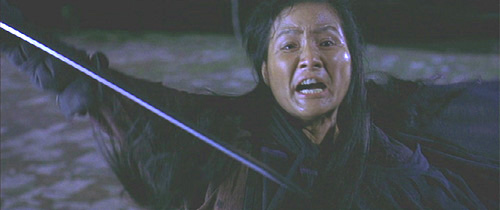 Crouching-Tiger-Hidden-Dragon 4.png