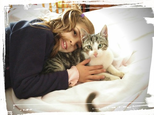 IMG_20161203_175626.jpg IMG_20161203_175626.jpg