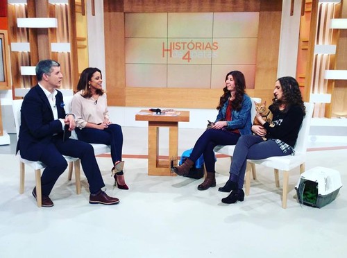 historias4patasic.jpg historias4patasic.jpg