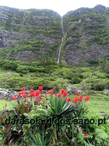 Azores_Flores_PocoBacalhau_18.JPG
