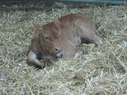 IMG_6319.JPG IMG_6319.JPG