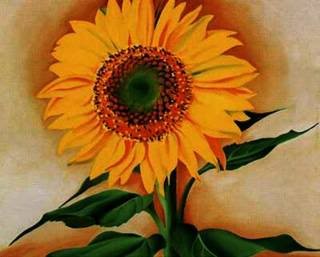 Girassol by Georgia OKeeffe