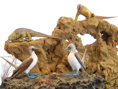 Cópia de 100_6230.JPG