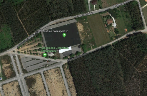 sobreiro.png sobreiro.png