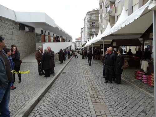 Feira do Queijo Em Seia !!! 203.jpg