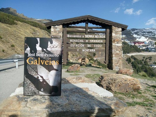 angélica silveira.jpg