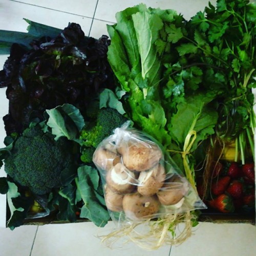 28577631_1058839130922514_3643636735510001216_n.jp