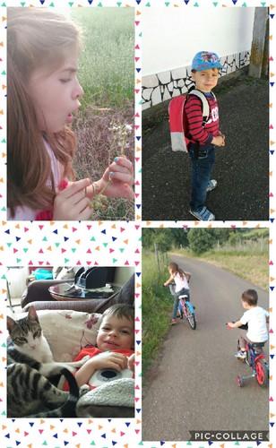 Collage 2017-05-07 09_26_37.jpg