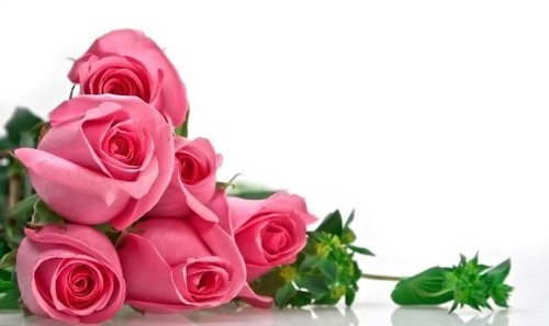-WFnB_TdXpcyK4Mo4W_7Pbx_9A7Z7Jo7Pi5FG6LgquXDyRGRs9 -WFnB_TdXpcyK4Mo4W_7Pbx_9A7Z7Jo7Pi5FG6LgquXDyRGRs9