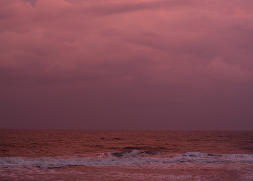 Wolfgang Tillmans.png Wolfgang Tillmans.png