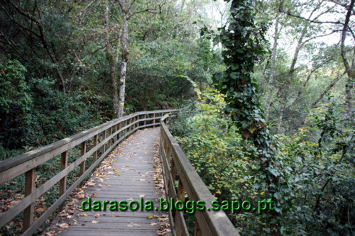 Passarelas_Rio_Mao_08.JPG Passarelas_Rio_Mao_08.JPG