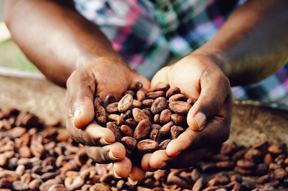 Blog 10 - Cacau Colombia.jpg