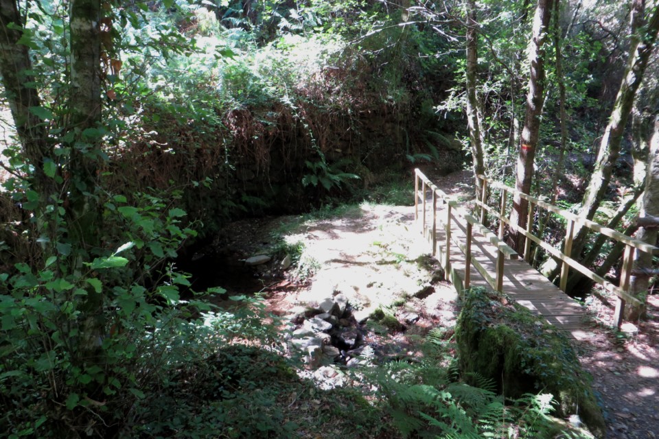 IMG_3071.JPG IMG_3071.JPG