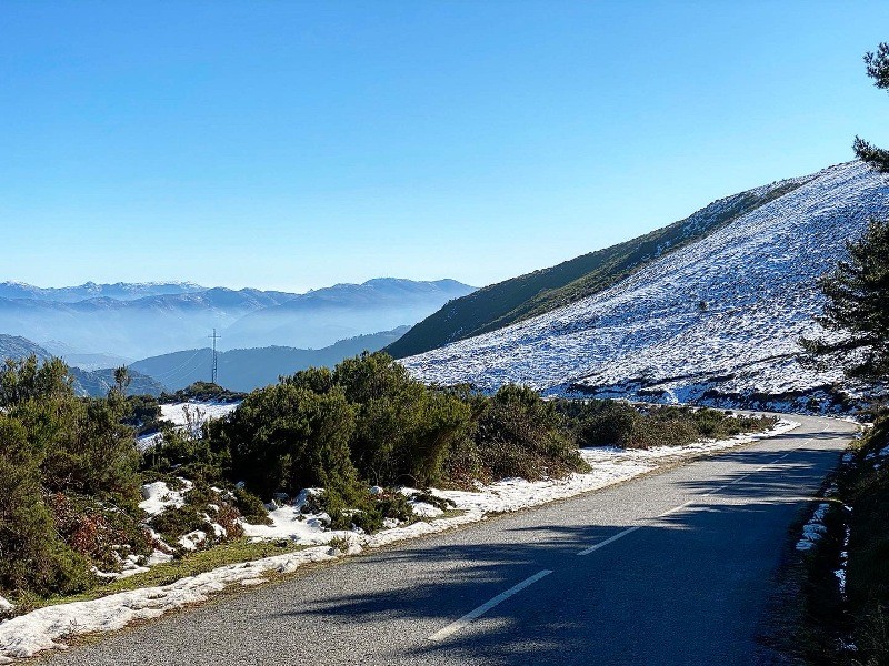 PNPGeresPyrrait (219).jpeg PNPGeresPyrrait (219).jpeg