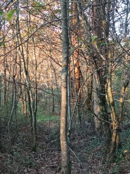 Não me canso disto inverno 5.jpg