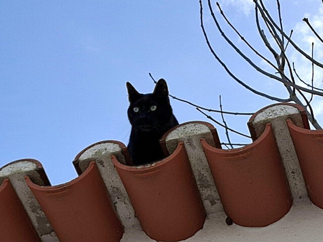 1000011912 - Cópia.jpg