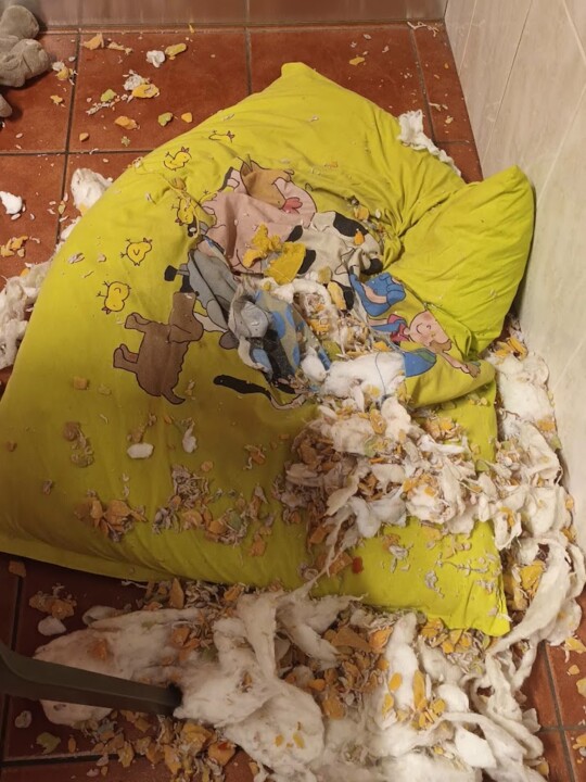 Não me canso disto almofada 1.jpg