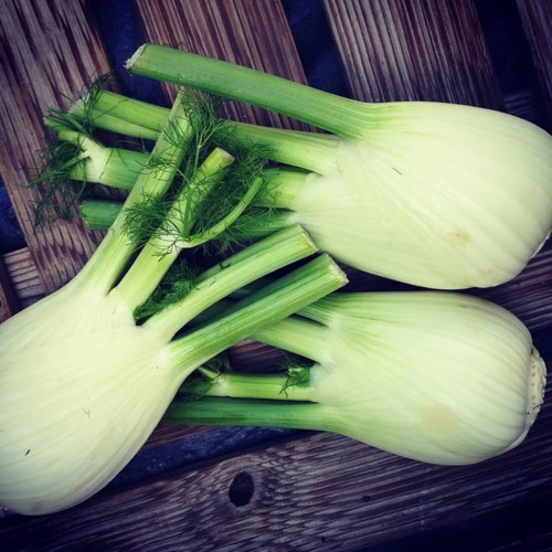 44679914_1230282720444820_3919050012834660352_n.jp 44679914_1230282720444820_3919050012834660352_n.jp