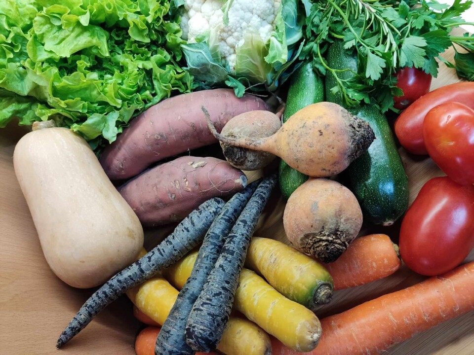 386892216_976827446726456_9013791706895801614_n.jp