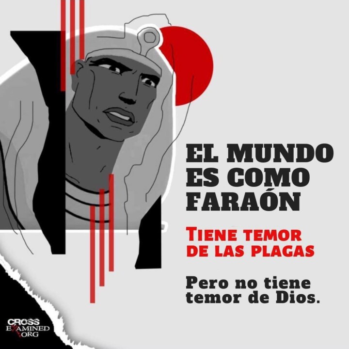 94691483_1100807490304410_7266218661986172928_n.jp