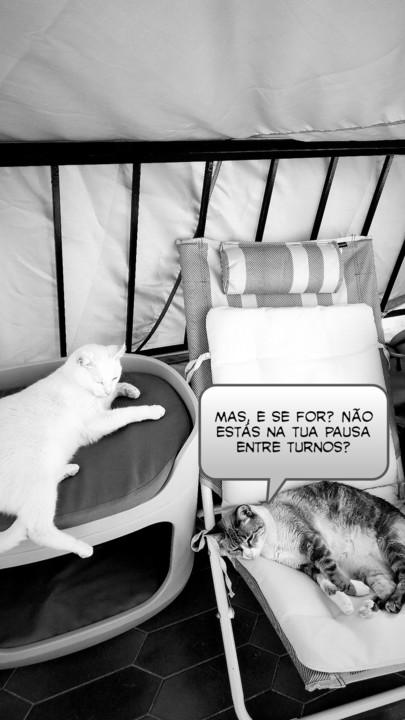 2021-08-18 02-picsay.jpg