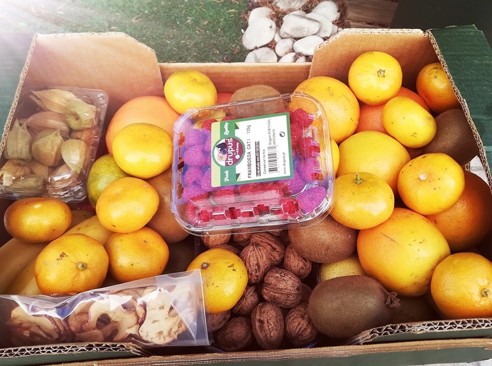 72343355_1484482351691521_777610524794814464_n.jpg 72343355_1484482351691521_777610524794814464_n.jpg