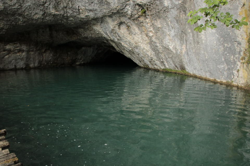 _MG_0897.JPG