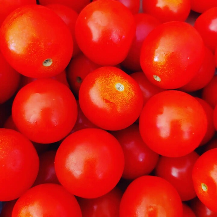 308955537_2418993434907070_7758793157180570510_n.j