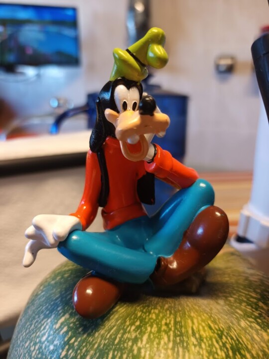 Não me canso disto_pateta.jpg