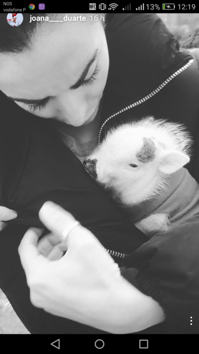 Screenshot_2017-01-23-12-19-13.png Screenshot_2017-01-23-12-19-13.png