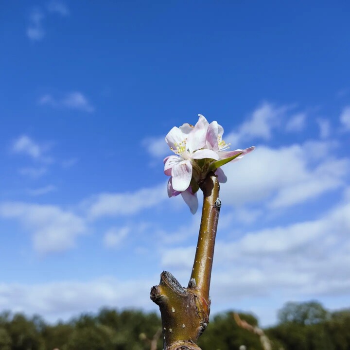 429676613_789111953246217_7984550186521236186_n.jp