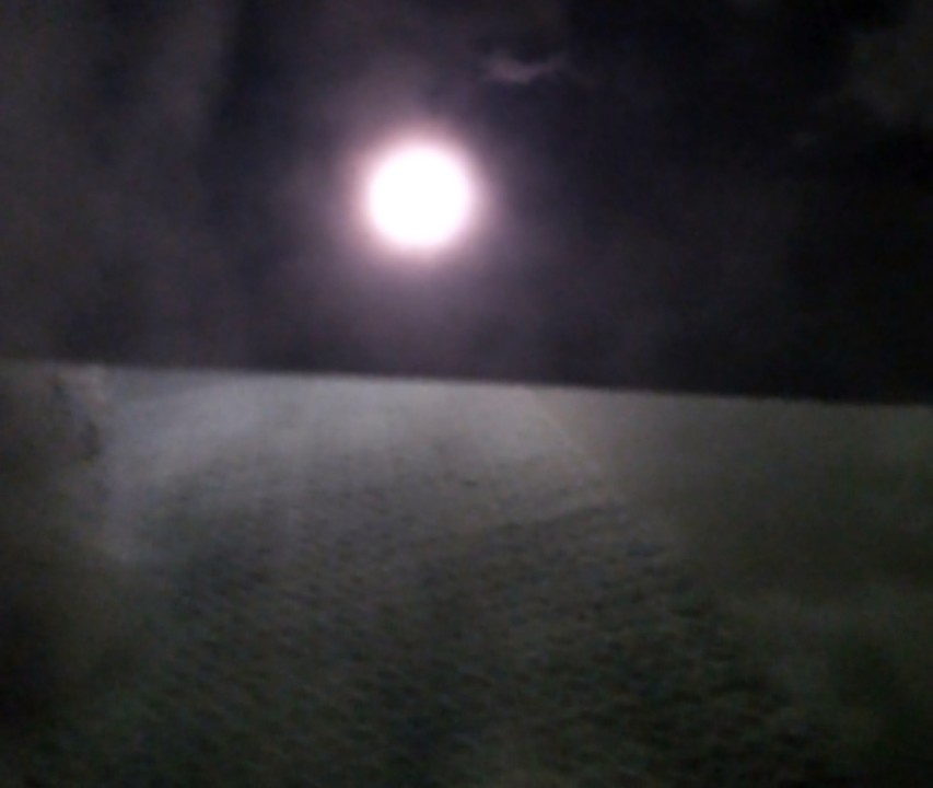 IMG_20210426_213206_3 - Edited.jpg